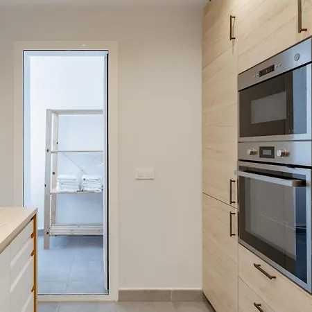 With Big Roof Terrace Estepona