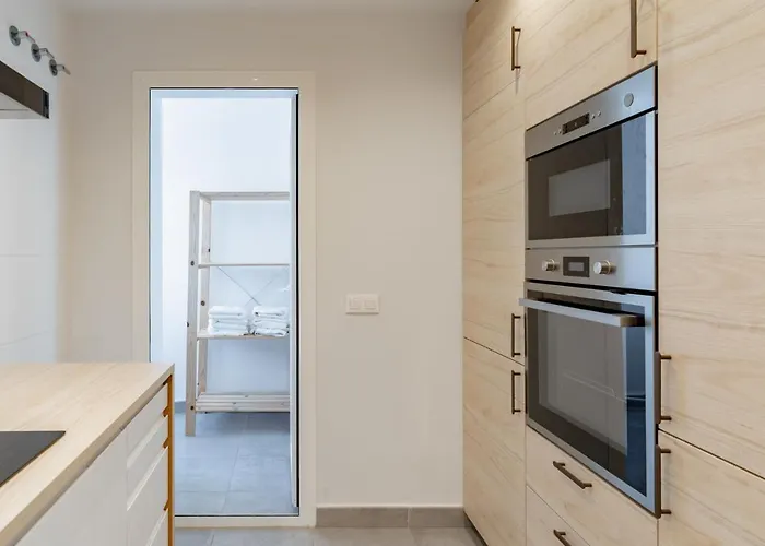 With Big Roof Terrace Estepona